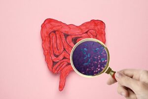 腸は、病原菌やウイルスから体を守る最前線！