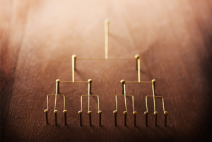 名は体を表す？ 分類にもとづく細菌の学名