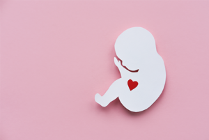 赤ちゃんの発育に重要!? お母さんの腸内細菌が産生する短鎖脂肪酸 – 母子の腸内細菌叢②