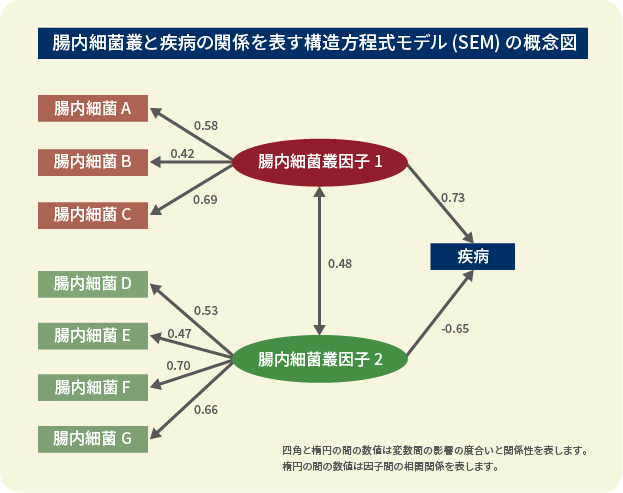 ”腸内細菌叢と疾病の関係を表す構造方程式モデル(SEM)の概念図”/